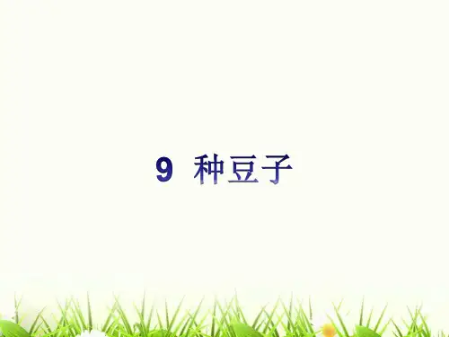 9 种豆子