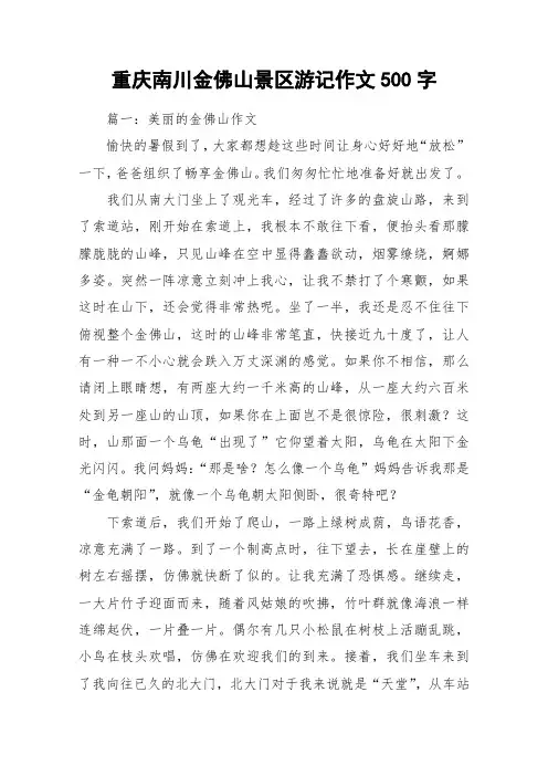重庆南川金佛山景区游记作文500字_作文