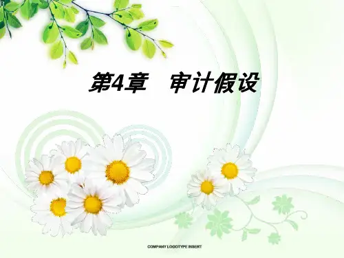 审计理论-审计假设 2