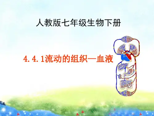 人教版七年级生物下册4.1流动的组织——血液 (共27张PPT)