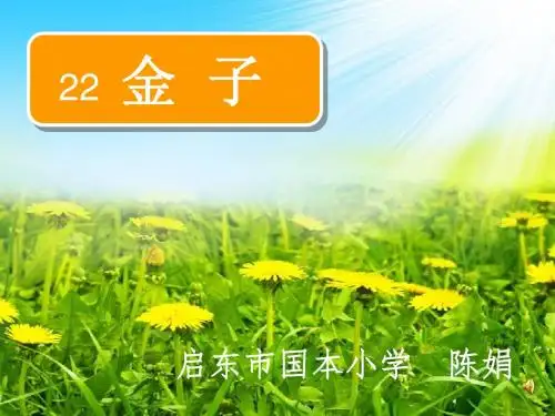 22.《金子》第2课时ppt