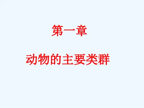 第一章动物的主要类群学习课件