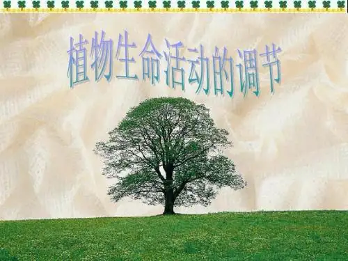 人教版教学教案云南省弥勒县庆来中学2011-2012学年生物必修3 3.1植物生命活动的调节(课件)
