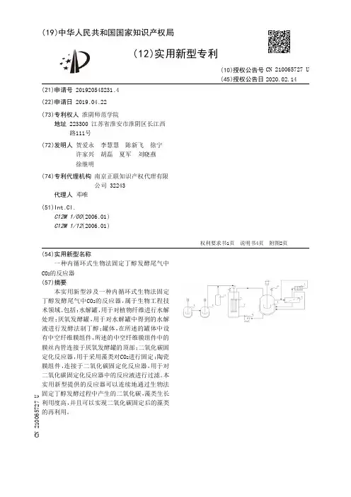 【CN210065727U】一种内循环式生物法固定丁醇发酵尾气中COSub2Sub的反应器【专利】