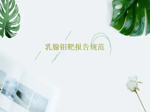 乳腺钼靶报告规范共68页文档
