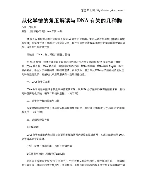 从化学键的角度解读与DNA有关的几种酶