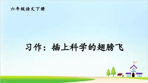 《插上科学的翅膀飞》习作ppt