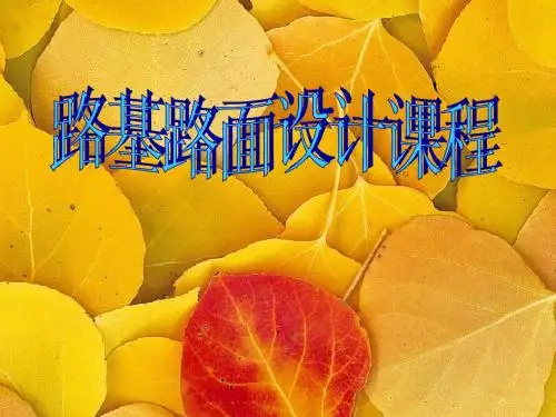路基路面设计