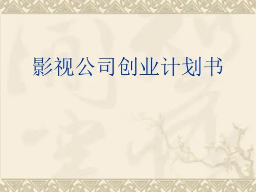 某影视公司创业计划书