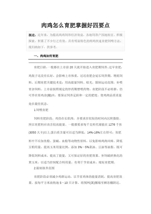 肉鸡怎么育肥掌握好四要点