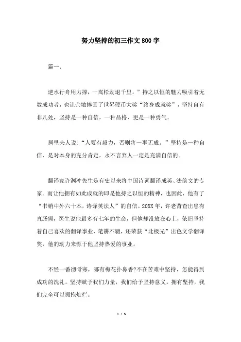 努力坚持的初三作文800字