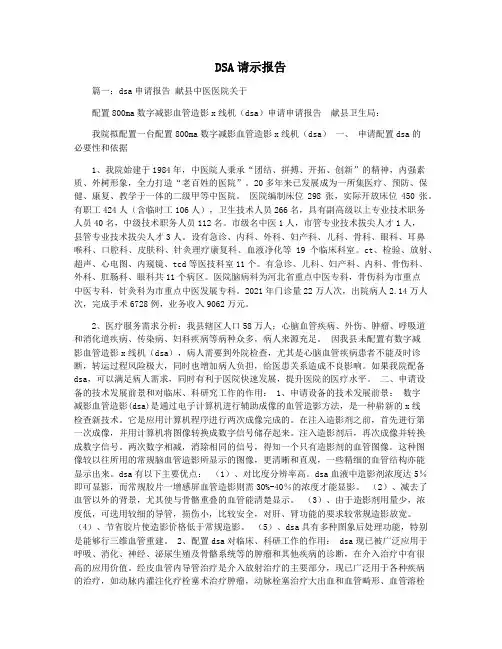 DSA请示报告