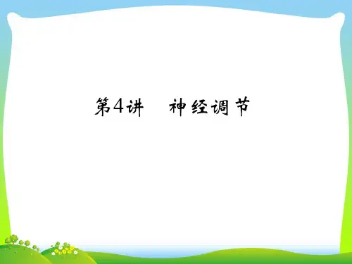 神经调节复习-课件