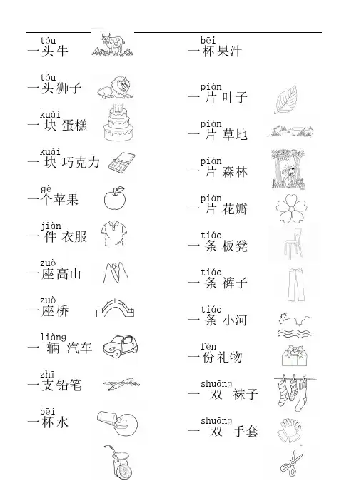 幼儿园大班数量词认读