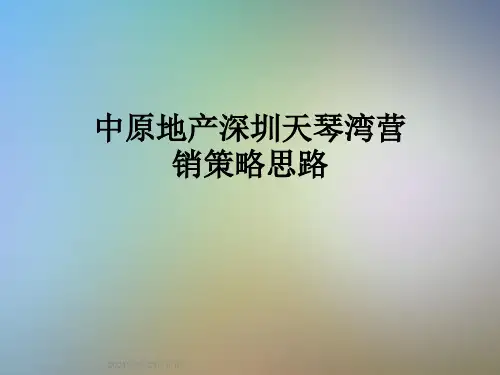 中原地产深圳天琴湾营销策略思路