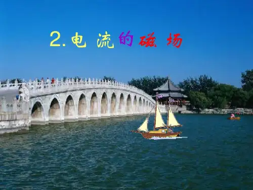 电流磁场ppt讲解共30页
