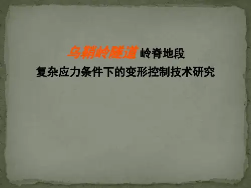 软岩大变形隧道