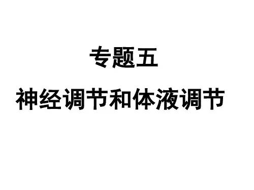 专题五 神经调节和体液调节(高三二轮复习)