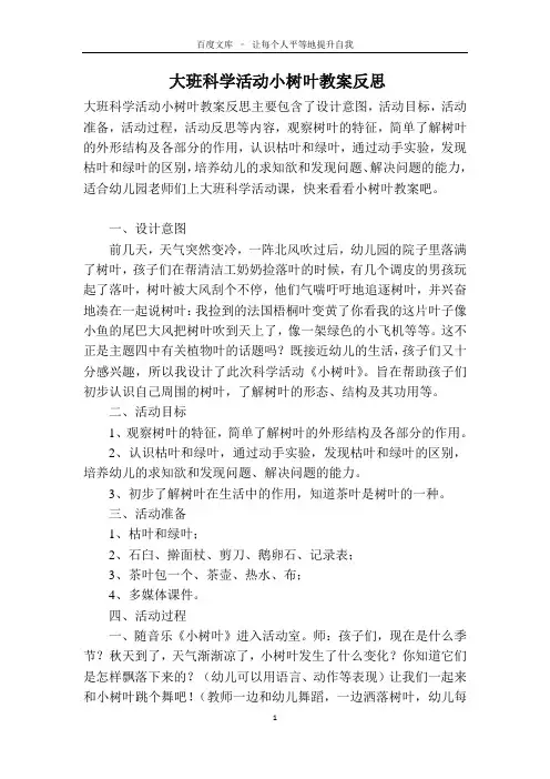 大班科学活动小树叶教案反思