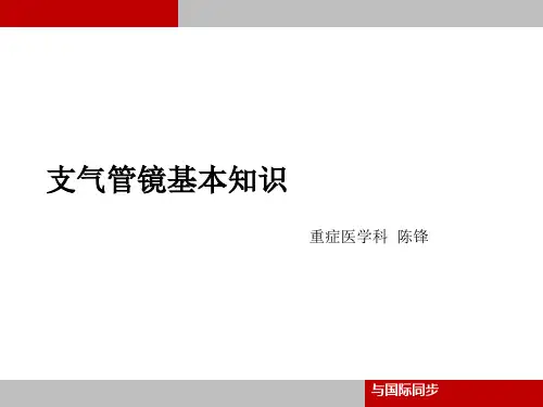 支气管镜_培训(PPT44页)