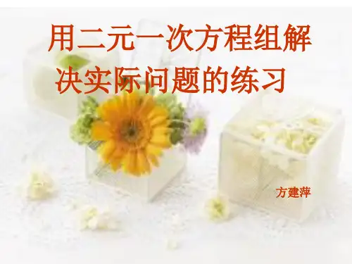 人教版七年级下册实际问题与二元一次方程组的练习