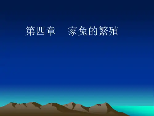 家兔的繁殖