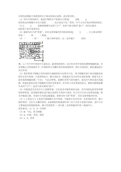 右图为显微镜下观察到的叶片基本结构示意图