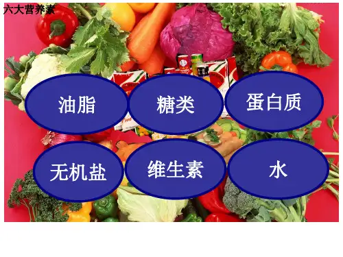 油脂-