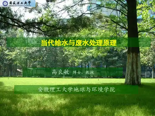 2020年第七章废水生物化学处理基础-PowerPoint演示文参照模板