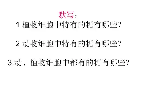 生物必修1—2.2蛋白质