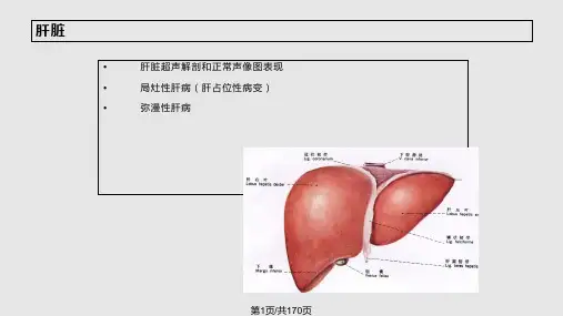 超声诊断学——肝胆胰脾PPT课件