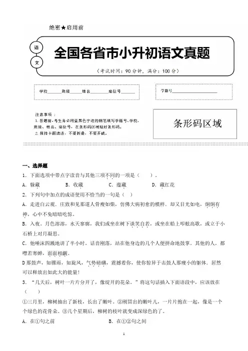 【小升初】2020年山东省东营市小升初语文毕业会考试题含答案(全网唯一)