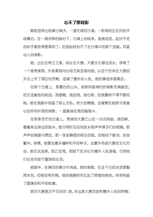 初三作文：忘不了那背影作文800字