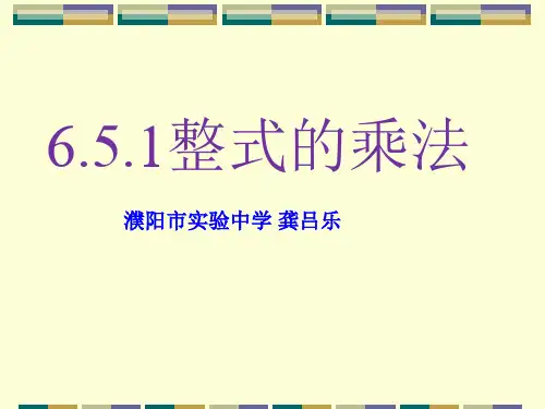 6.5.1鲁教版整式的乘法(1)