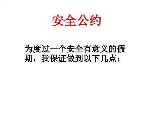 安全公约