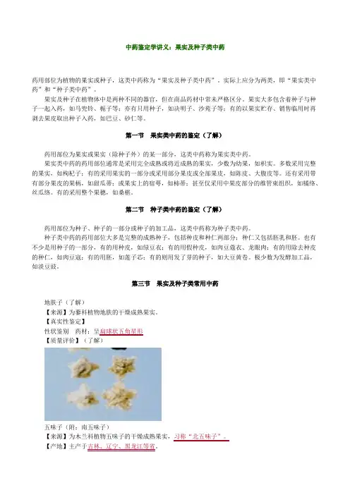中药化学讲义：果实及种子类中药