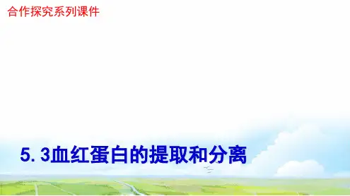高中生物选修1优质课件1：5.3血红蛋白的提取和分离