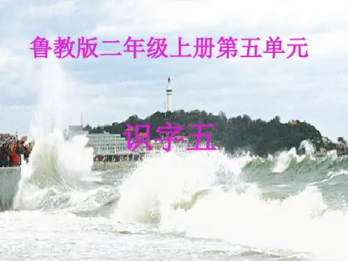 鲁教版二年级上册第五单元