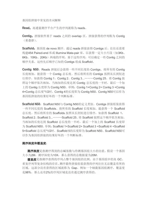基因中常见的名词解释