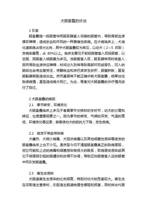 犬肠套叠的诊治