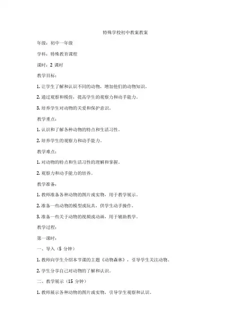 特殊学校初中教案教案