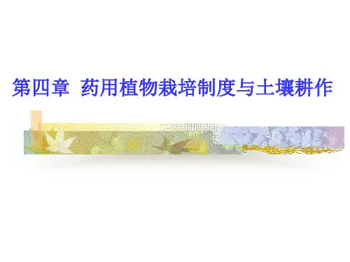 土壤耕作PPT课件