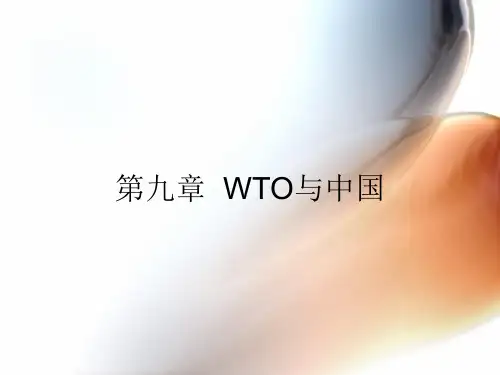 WTO基础知识课件——整个课程09