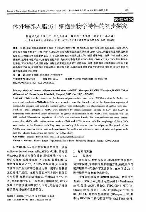 体外培养人脂肪干细胞生物学特性的初步探究