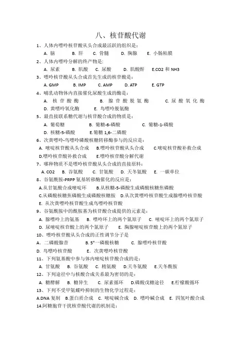 核苷酸代谢 4
