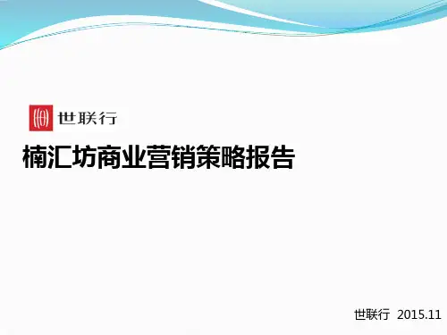 商业营销策略报告