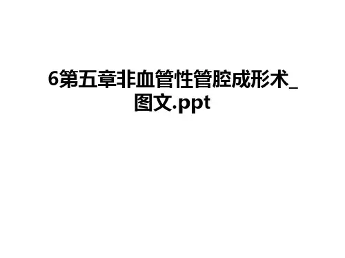 最新6第五章非血管性管腔成形术_图文.ppt