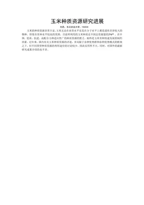 玉米种质资源