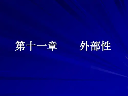 20微观经济学 卫志民 (11)