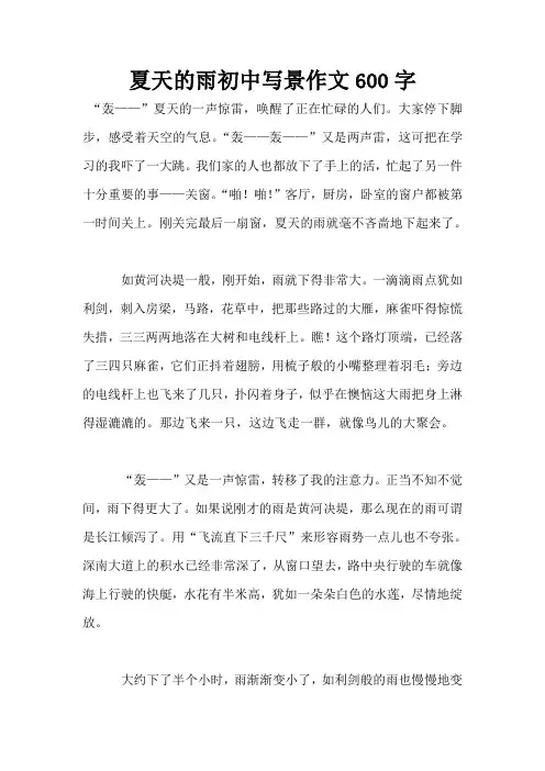 夏天的雨初中写景作文600字